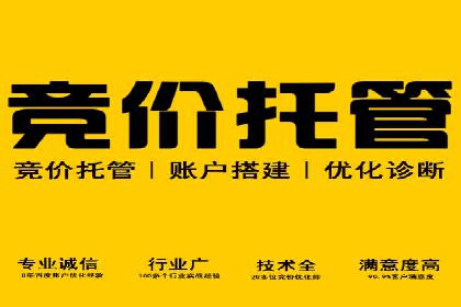 SEM服务助力企业多渠道营销案例